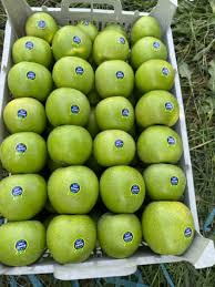 تصویر 4 از سیب سبز رفسنجان آبدار با بافت سفت و طبیعی